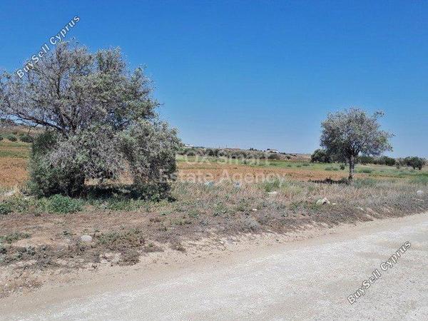 land for sale agioi trimithias nicosia 1152794 image 5161747