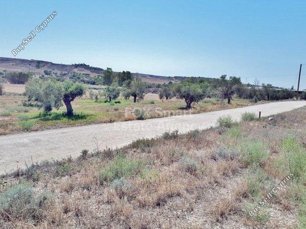 land for sale agioi trimithias nicosia 1152794 image 5161749