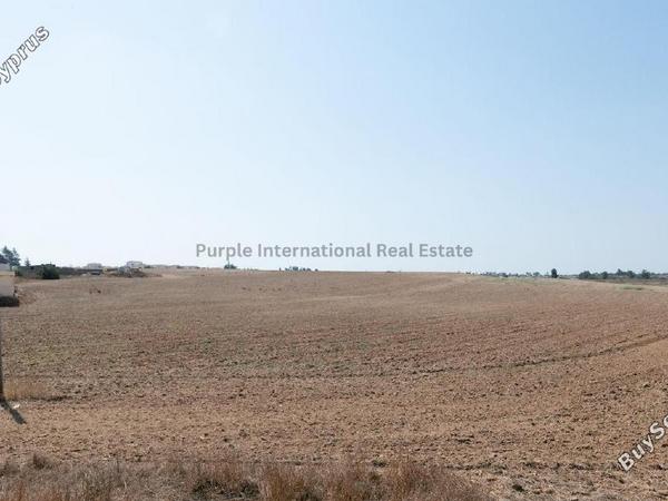 land for sale frenaros famagusta 7544794 image 13295315