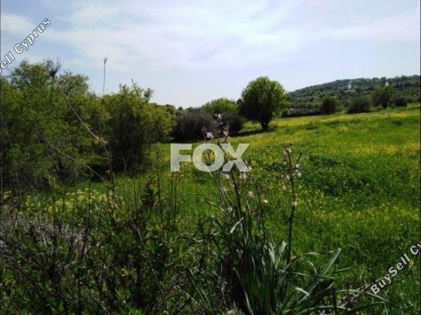 land for sale letymvou paphos 1158794 image 5504201