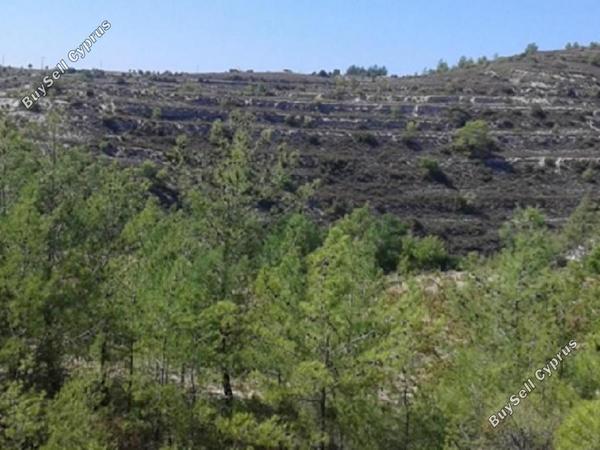 land for sale lofou limassol 8630794 image 15874129