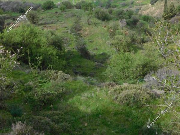 land for sale pentalia paphos 945794 image 15867201