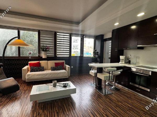 1 bedroom apartment for rent potamos germasogeias limassol 8698894 image 16683002