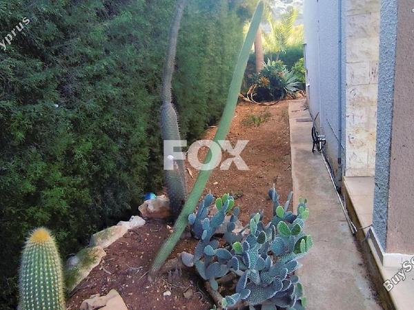 2 bedroom detached house for rent agios tychonas limassol 1146894 image 14868011