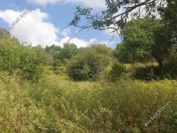 land for sale drimou paphos 8433894 image 16009201