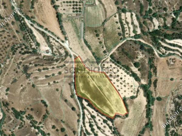 land for sale kallepeia paphos 8736894 image 16351225