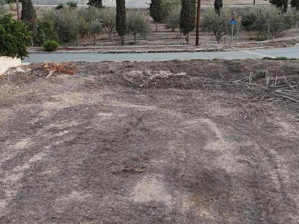 plot for sale kallithea nicosia 7805894 image 11009851