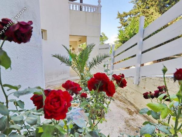 3 bedroom detached house for sale tsada paphos 1354994 image 15784345