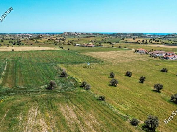 land for sale alaminos larnaca 1328994 image 5640756