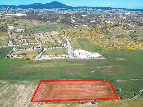 land for sale alaminos larnaca 1328994 image 5640783