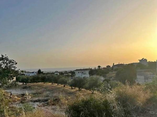land for sale konia paphos 8468994 image 16069383