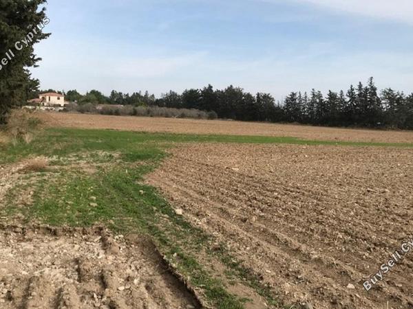 land for sale meneou larnaca 830994 image 1056953