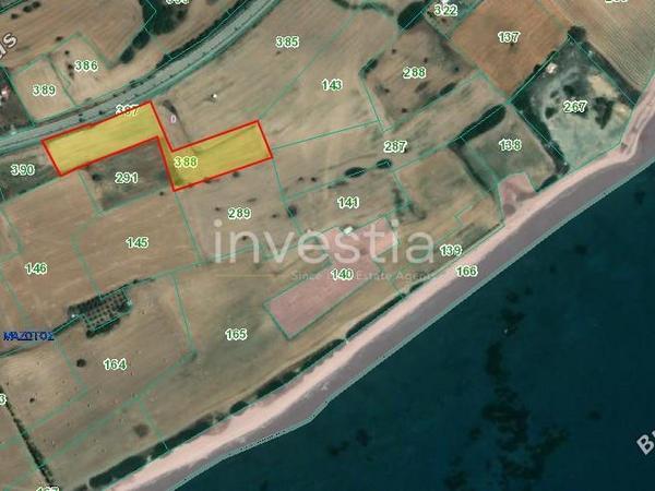 land for sale mazotos larnaca 8703005 image 16230424