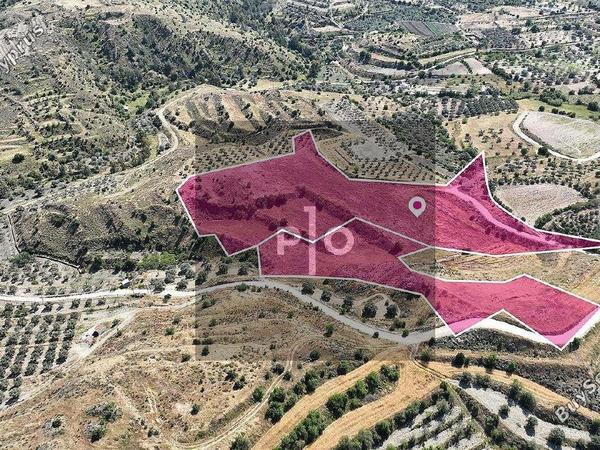 land for sale pera orinis nicosia 8275005 image 15156803