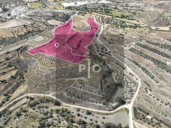 land for sale pera orinis nicosia 8275005 image 15156804