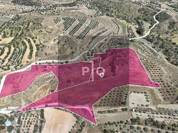 land for sale pera orinis nicosia 8275005 image 15156805