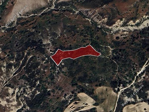 land for sale peyia paphos 8665005 image 17011250