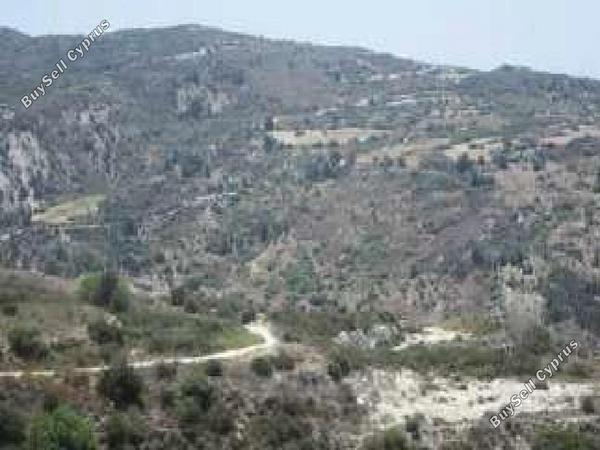 land for sale peyia paphos 8665005 image 17011252