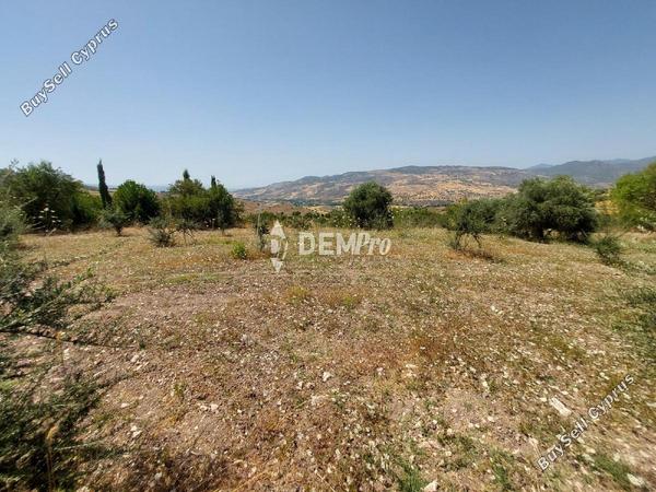 land for sale agios dimitrianos paphos 7813105 image 12703055