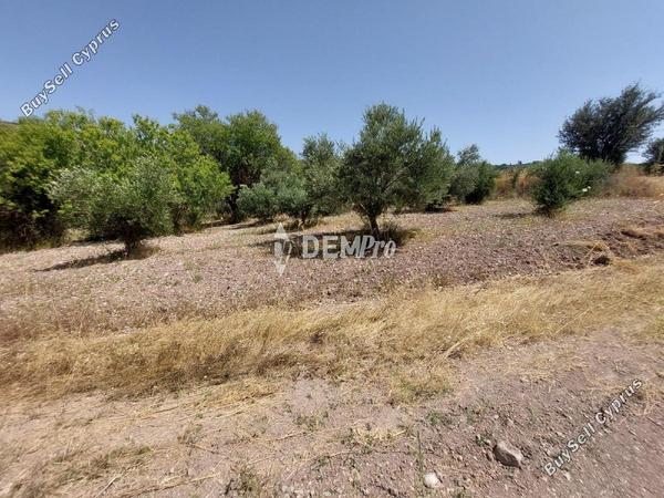 land for sale agios dimitrianos paphos 7813105 image 12703061
