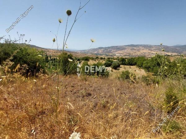 land for sale agios dimitrianos paphos 7813105 image 12703065
