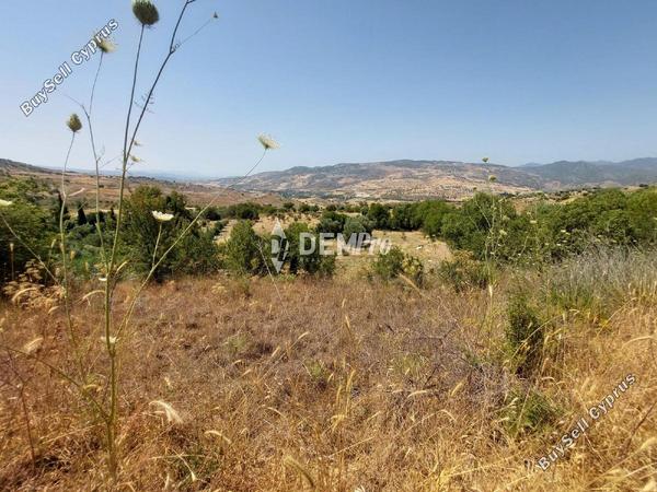 land for sale agios dimitrianos paphos 7813105 image 12703069
