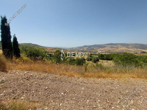 land for sale agios dimitrianos paphos 7813105 image 12703079