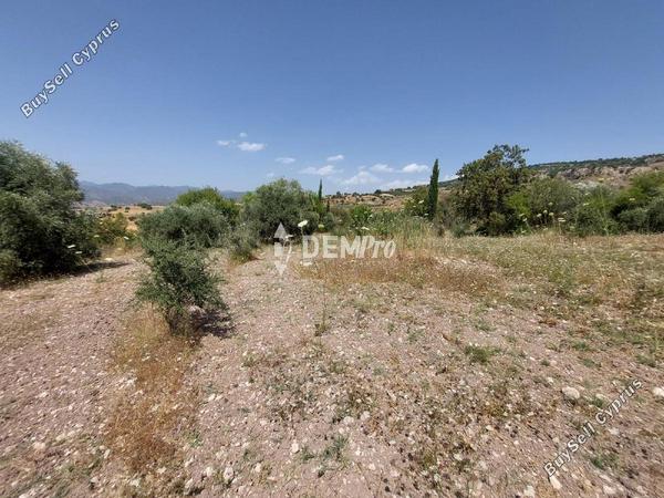 land for sale agios dimitrianos paphos 7813105 image 12703083