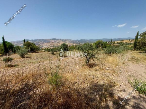 land for sale agios dimitrianos paphos 7813105 image 12703086