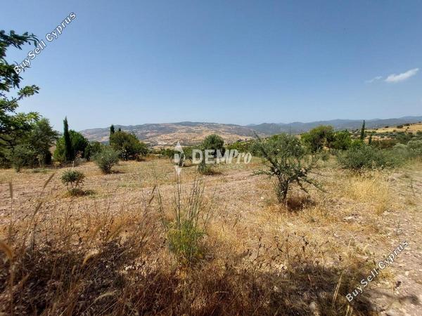 land for sale agios dimitrianos paphos 7813105 image 12703089