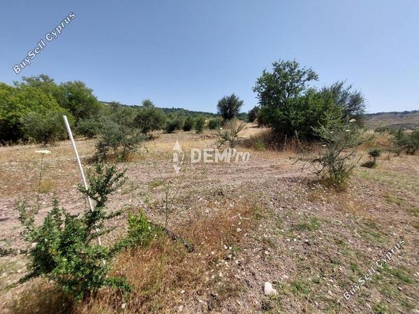 land for sale agios dimitrianos paphos 7813105 image 12703095
