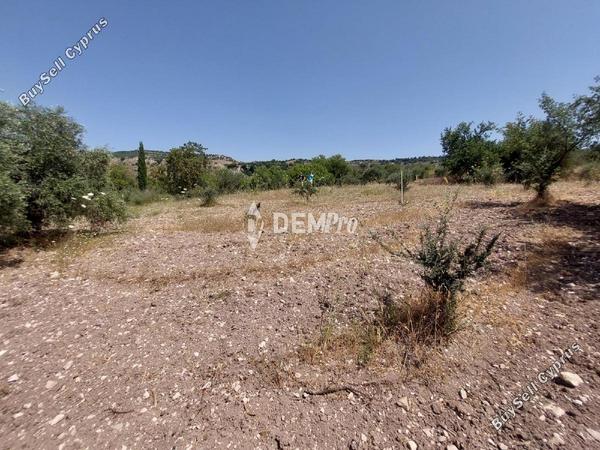 land for sale agios dimitrianos paphos 7813105 image 12703101