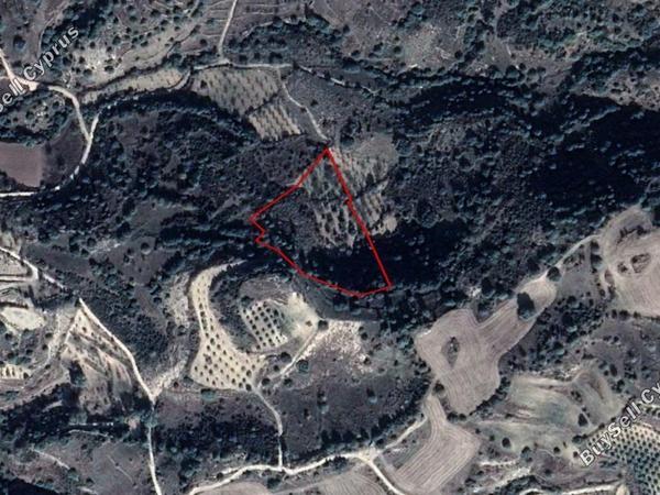 land for sale lemona paphos 8630105 image 15871559