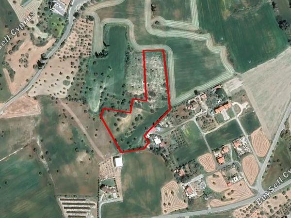 plot for sale mazotos larnaca 1681105 image 9561813