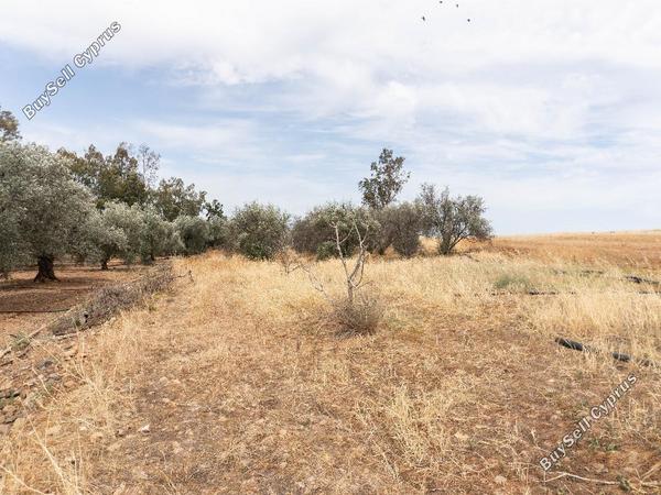 land for sale astromeritis nicosia 8645205 image 15931492