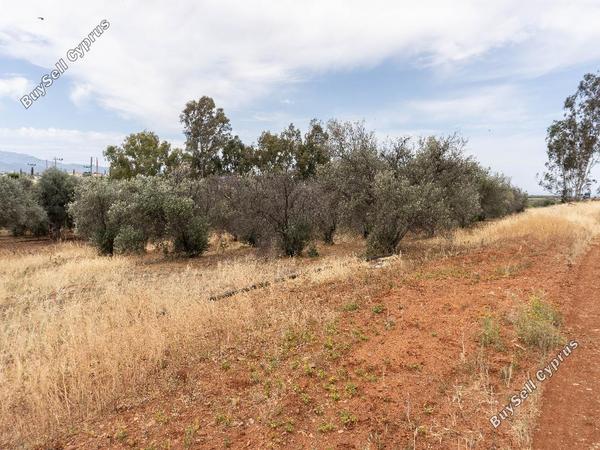 land for sale astromeritis nicosia 8645205 image 15931494