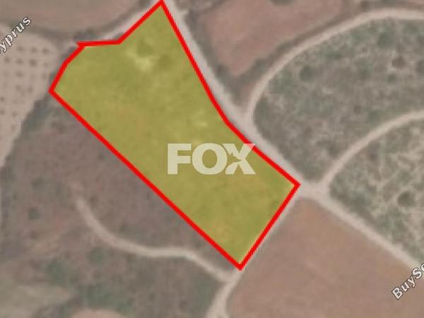 land for sale kathikas paphos 1160205 image 5538407