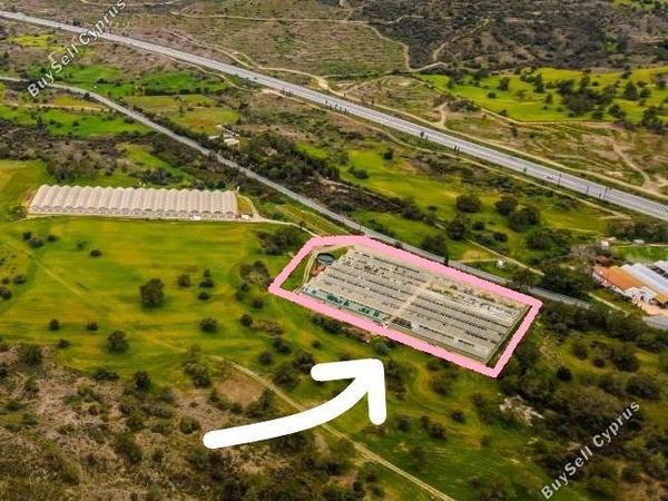 land for sale kornos larnaca 7962305 image 11437774