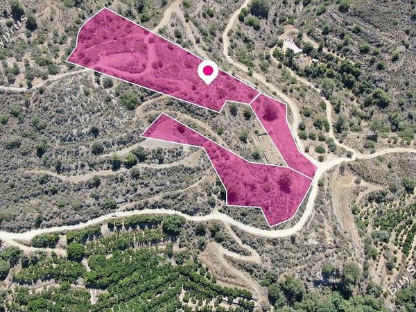 land for sale dierona limassol 1603405 image 13347659