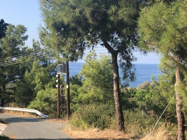 land for sale nea dimmata paphos 7756405 image 10325210