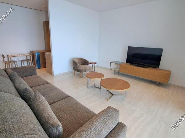 1 bedroom apartment for rent potamos germasogeias limassol 8681505 image 16541338