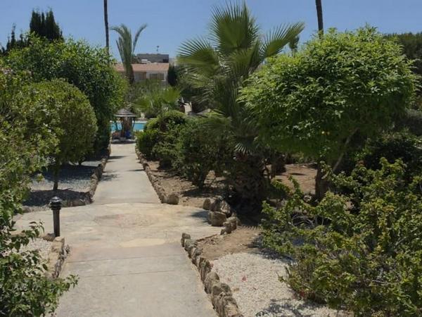 1 bedroom apartment for rent tombs of the kings paphos 8765505 image 16562897