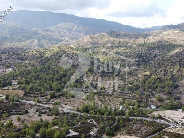 land for sale agios mamas limassol 1614505 image 14922331