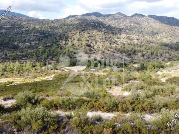 land for sale agios mamas limassol 1614505 image 14922333