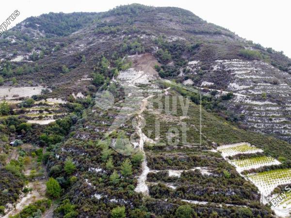 land for sale agios mamas limassol 1614505 image 14922335