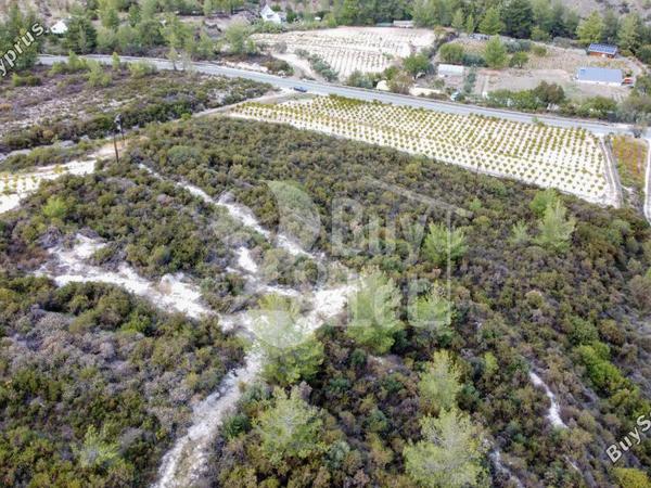 land for sale agios mamas limassol 1614505 image 14922341