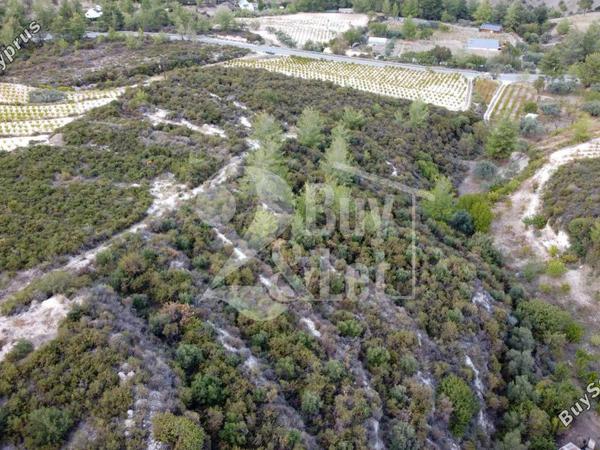 land for sale agios mamas limassol 1614505 image 14922343