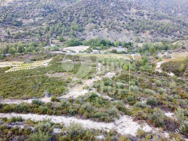 land for sale agios mamas limassol 1614505 image 14922344