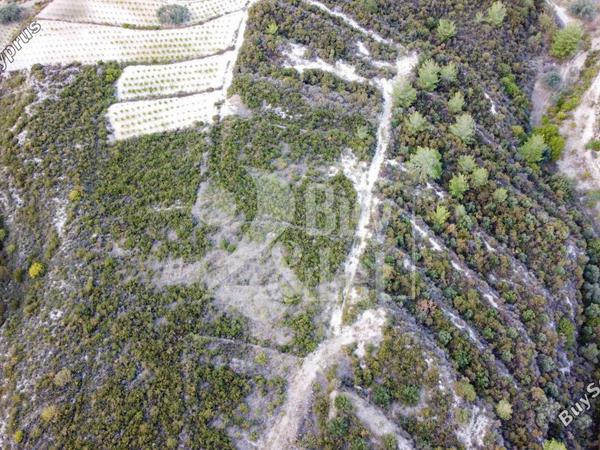 land for sale agios mamas limassol 1614505 image 14922346