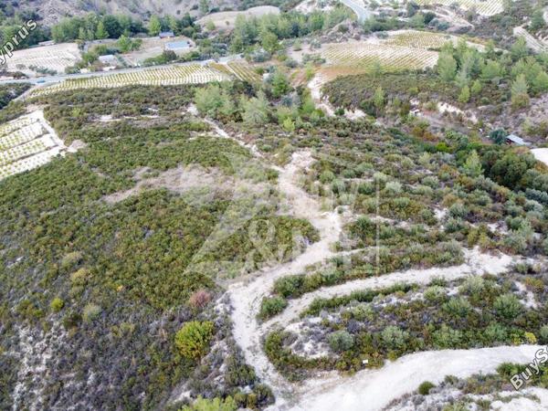 land for sale agios mamas limassol 1614505 image 14922360